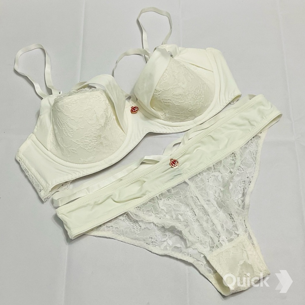 NWT Embroidered Lace Cutout Bra & Panties - 2 pcs Set